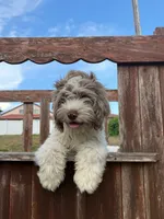 processed/281b4e36-c45d-48eb-af6e-42d85c024c0b/listing/c16deaa0-83ab-482d-b40e-d3eeddd84264/7d03fac0-5fdd-41d7-8290-795d7b586d4e