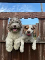 processed/281b4e36-c45d-48eb-af6e-42d85c024c0b/listing/c16deaa0-83ab-482d-b40e-d3eeddd84264/96b909b2-9180-4f66-88e5-1704dff055df