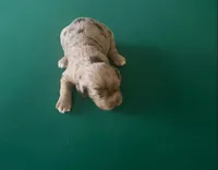 processed/281b4e36-c45d-48eb-af6e-42d85c024c0b/listing/d0db1dcc-b562-4e83-9da3-2afe77546fc9/30bcf98b-d211-43e4-9045-885a46cbfafb