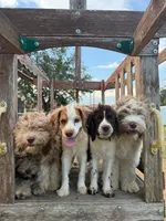 processed/281b4e36-c45d-48eb-af6e-42d85c024c0b/listing/d0db1dcc-b562-4e83-9da3-2afe77546fc9/95640706-1808-4db8-b98f-955b0163649c