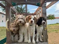 processed/281b4e36-c45d-48eb-af6e-42d85c024c0b/listing/d0db1dcc-b562-4e83-9da3-2afe77546fc9/a53b02e7-4e77-4f88-a50c-d7ce222b0d76