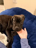 processed/28203b46-1304-47b5-b052-0474d101f83b/listing/78c3dfc3-cb1c-486f-98c2-9fe11044ac8d/20c3c51c-982c-4b8a-8180-0bdf43187230