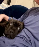 processed/28203b46-1304-47b5-b052-0474d101f83b/listing/78c3dfc3-cb1c-486f-98c2-9fe11044ac8d/547f111e-0f85-4f7e-b528-6094845efc68