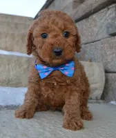 processed/28214867-bb7c-47a3-96d1-a12c95b53526/listing/cbcd6f62-e0ca-4776-a48e-31108804c8ec/3af4aa77-677e-4576-9af9-94022f885152