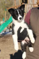 processed/28275711-90f2-4755-a55a-593772ce2bc2/listing/10954a77-f7c0-4987-a089-f0d937b8dcdf/1a50a698-2207-40ca-9e94-7dcb6139f143