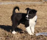 processed/28275711-90f2-4755-a55a-593772ce2bc2/listing/10954a77-f7c0-4987-a089-f0d937b8dcdf/7da96257-77c8-4326-a786-ce845e99cd61