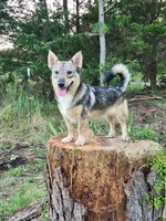 processed/28275711-90f2-4755-a55a-593772ce2bc2/listing/4e55ab42-a12d-4857-a59d-04c5c948134f/b98b0a72-2214-4e73-9cd9-28dc84ddfdeb