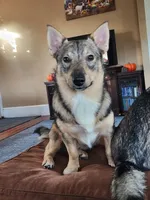 processed/28275711-90f2-4755-a55a-593772ce2bc2/listing/4e55ab42-a12d-4857-a59d-04c5c948134f/cca42a55-fe29-4f42-99d2-132a721c2fa8