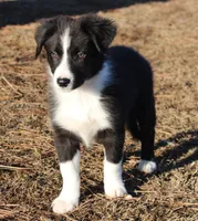 processed/28275711-90f2-4755-a55a-593772ce2bc2/listing/514441a7-d542-4b8e-a678-10f716f53592/4195d465-a6ee-44d6-badd-5b087a1aec5d