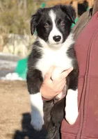 processed/28275711-90f2-4755-a55a-593772ce2bc2/listing/514441a7-d542-4b8e-a678-10f716f53592/f4a6d1d6-ce7d-4300-a9d8-80ac72274896