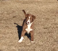 processed/28275711-90f2-4755-a55a-593772ce2bc2/listing/605c1662-3447-42be-bfab-011d96b31e90/ecd58cd3-f1cf-4ea0-b005-93aa2b88f0d0