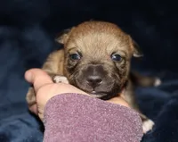 processed/28275711-90f2-4755-a55a-593772ce2bc2/listing/b4ba2d9a-1d34-4718-92ad-4629be337846/574c191e-3ef3-4fcf-8073-4d2f9d533a28