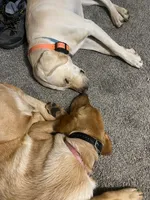 Facility photo
