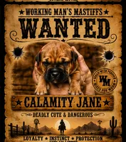 Calamity Jane, a female American Bully and Boerboel for sale in Upper Marlboro, MD – 3 of 10