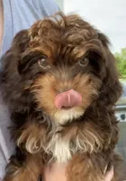 processed/28383ec5-ac84-4804-848f-e837f23fdcfd/facility/2a869244-6261-4829-8ba2-c971fabf4f40