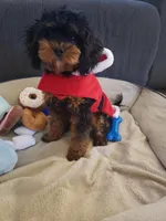 processed/28383ec5-ac84-4804-848f-e837f23fdcfd/facility/7dfb26ca-f5e6-40c6-ace2-864f10b3adc9