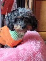 processed/28383ec5-ac84-4804-848f-e837f23fdcfd/facility/cc8ca327-156c-4925-adbb-ad7ded3be73c