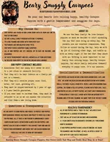 Bowser: Ready Now/ Chicago Delivery/ Family Raised, a male Cavapoo for sale in Chicago, IL – 4 of 4