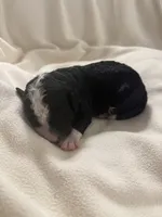 processed/283b4292-41dc-464e-ac49-aa6ed0669e1a/listing/25605468-0e95-444b-acfd-b0353709b55b/09f22468-9ae0-49bd-bf2a-ef56b348fcc2