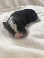 processed/283b4292-41dc-464e-ac49-aa6ed0669e1a/listing/25605468-0e95-444b-acfd-b0353709b55b/4bbe0631-eb2a-4a38-a7bb-9b221f3879a0