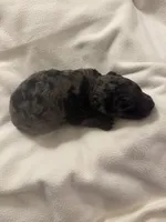 processed/283b4292-41dc-464e-ac49-aa6ed0669e1a/listing/86d9fd8d-34ed-449d-b9cf-6f2d9f361c24/50c8a858-e23b-45c6-9b52-ac3a3b81f2d2