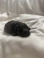 processed/283b4292-41dc-464e-ac49-aa6ed0669e1a/listing/86d9fd8d-34ed-449d-b9cf-6f2d9f361c24/7560ddf7-273d-4c97-bbc9-d76fc3747e84