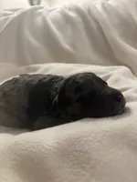 processed/283b4292-41dc-464e-ac49-aa6ed0669e1a/listing/86d9fd8d-34ed-449d-b9cf-6f2d9f361c24/8eb33dc9-87be-481a-b759-0ae36694619d