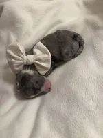 processed/283b4292-41dc-464e-ac49-aa6ed0669e1a/listing/a17b7fa8-8c33-49cb-9085-7261b0f2f3ef/413625ee-d61b-4032-98e8-ca8102249878