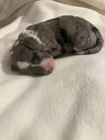 processed/283b4292-41dc-464e-ac49-aa6ed0669e1a/listing/a17b7fa8-8c33-49cb-9085-7261b0f2f3ef/a7f3d336-01fc-4956-a9ad-b1996fd8c3b1