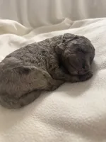 processed/283b4292-41dc-464e-ac49-aa6ed0669e1a/listing/b8300a00-a237-4b7f-8530-5143dca71e32/04de18bf-2d45-4740-8414-314934a9da26