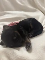 processed/283b4292-41dc-464e-ac49-aa6ed0669e1a/listing/d6f1a69d-8ba1-4348-b909-09578021b313/99f258c7-2be7-4a45-93bc-d533b4372ec3