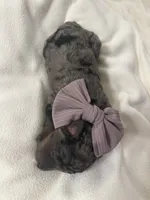 processed/283b4292-41dc-464e-ac49-aa6ed0669e1a/listing/e6935275-5bf8-459a-a3ae-b1c8d7460fe1/3ef373ec-ac83-47bd-a186-0820399e9901