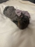 processed/283b4292-41dc-464e-ac49-aa6ed0669e1a/listing/e6935275-5bf8-459a-a3ae-b1c8d7460fe1/cf859a00-2342-46bb-bfaf-701a2f4203d0