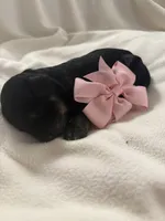 processed/283b4292-41dc-464e-ac49-aa6ed0669e1a/listing/ecef4d96-50c3-45b5-a5b9-fdfee048f769/5c837e04-09d6-43e3-b1dc-acc565f76b00