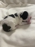 processed/283b4292-41dc-464e-ac49-aa6ed0669e1a/listing/ef073746-84cc-4916-aa7d-7278039ad2e5/54316e09-eea9-4a07-b335-ee03cf46703b