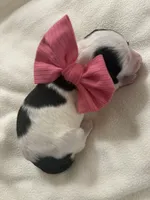 processed/283b4292-41dc-464e-ac49-aa6ed0669e1a/listing/ef073746-84cc-4916-aa7d-7278039ad2e5/92746879-05b8-4767-b635-64d179f1fa8b