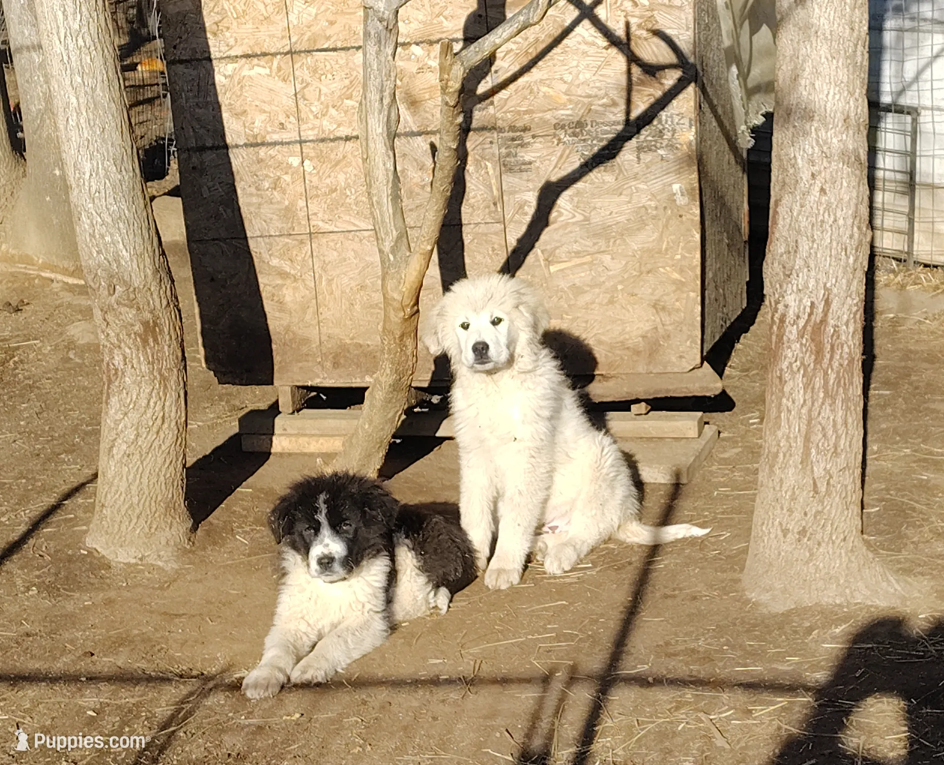 processed/2840cbf9-248c-467c-9ce5-0106835cadea/listing/38f3cfec-8d79-42a3-bfe7-316d3723e226/4fb64b03-cc6e-4987-91d2-68c0b918177f