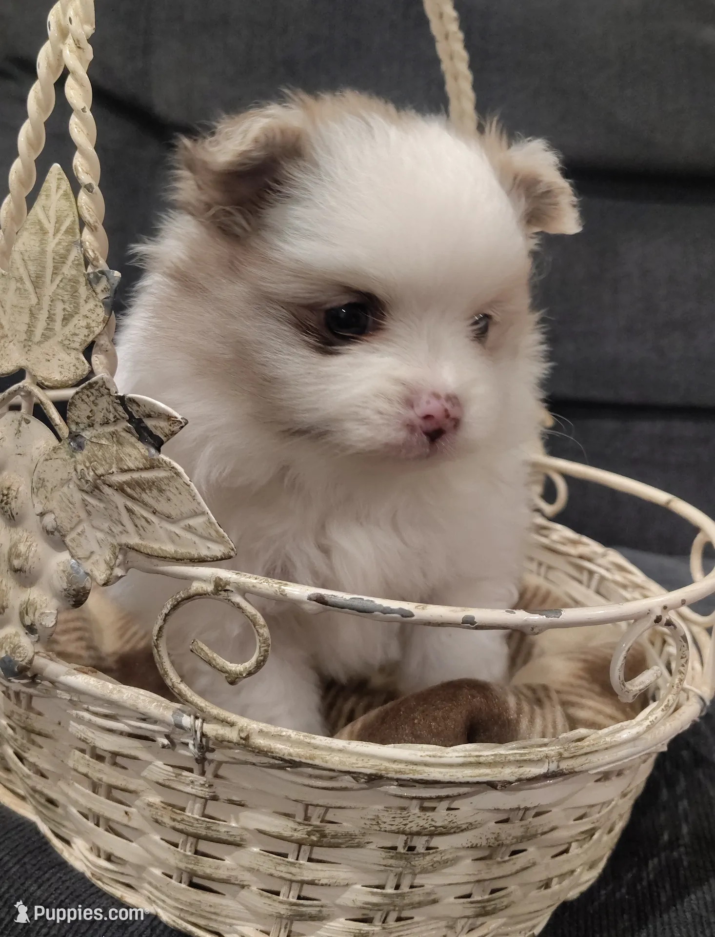 processed/2840cbf9-248c-467c-9ce5-0106835cadea/listing/6b3bdd8b-7c87-4da6-8db2-cc11aca0cca6/9efd9ba7-b22f-4928-91a0-0abb5491e04c