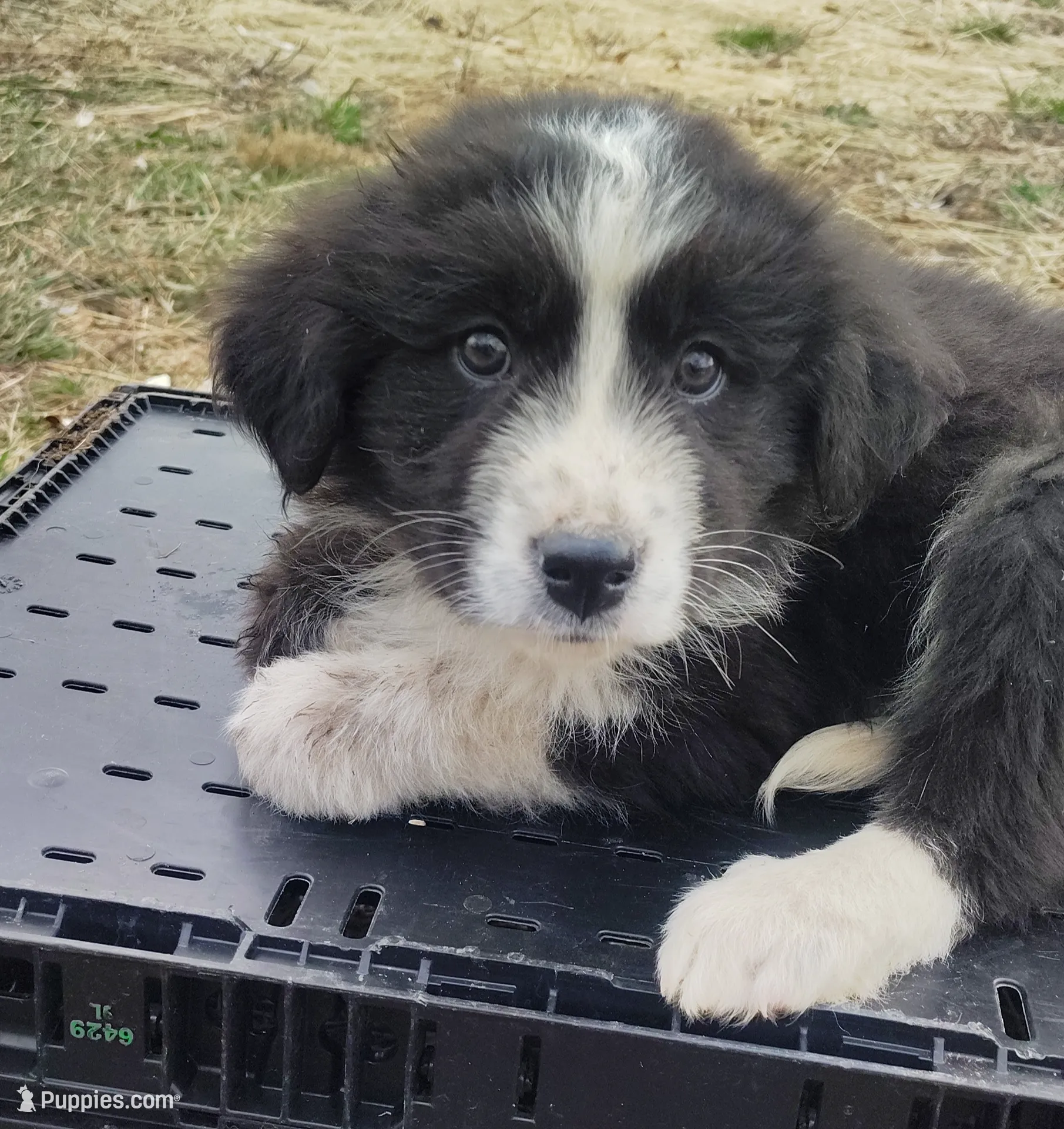 processed/2840cbf9-248c-467c-9ce5-0106835cadea/listing/c8ab7582-9fea-4494-9856-67aeff5bb859/3a2c3ccb-4bd0-4804-83a0-0fde461e05d0