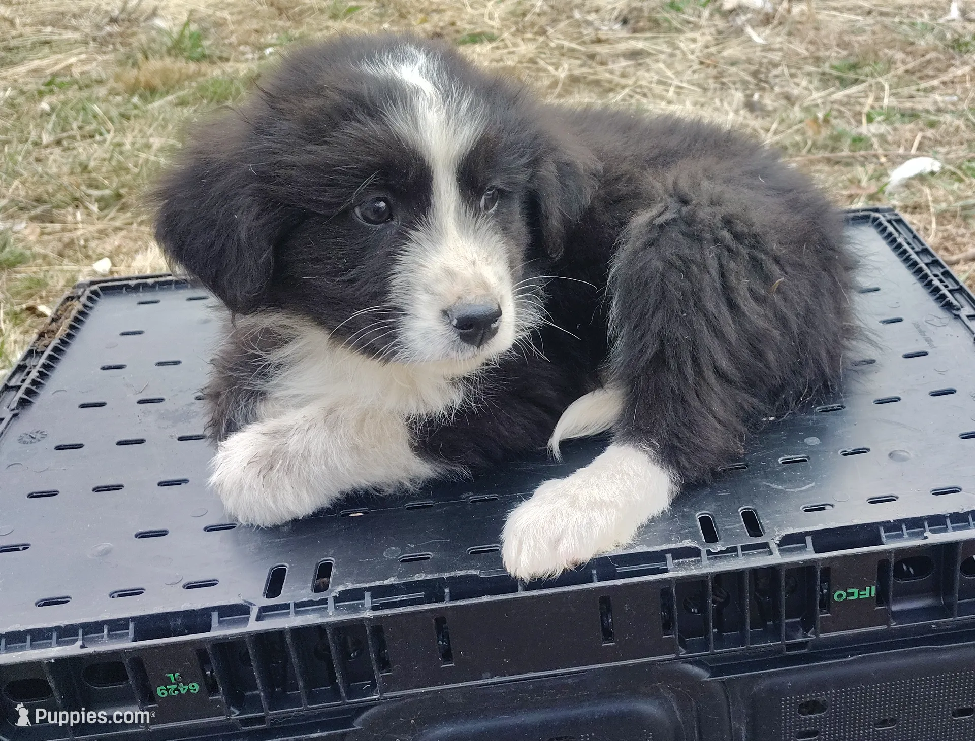 processed/2840cbf9-248c-467c-9ce5-0106835cadea/listing/c8ab7582-9fea-4494-9856-67aeff5bb859/9d711a70-f79d-4cf3-84e0-153732f85964