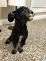 processed/284828d1-20b9-4beb-9343-686c870039e6/listing/42a6ff89-d3b7-46e1-b10e-bcce5e582737/5247b0ae-4e3b-4079-91c0-68b52fddc586