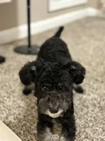 processed/284828d1-20b9-4beb-9343-686c870039e6/listing/42a6ff89-d3b7-46e1-b10e-bcce5e582737/b472c51f-23f2-4fee-9adc-b34ed6f00f92