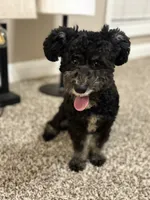 processed/284828d1-20b9-4beb-9343-686c870039e6/listing/42a6ff89-d3b7-46e1-b10e-bcce5e582737/d37f7afb-16fa-44d5-bf2a-44c9526cafa1