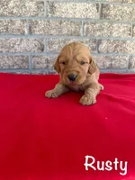 processed/2849b235-77a0-4fe8-bed4-c39960fa00d8/listing/0a437765-3b04-488b-a3aa-71904bc0b1cc/054448ef-f7d4-42c4-82a1-e7349efe39f8