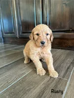 processed/2849b235-77a0-4fe8-bed4-c39960fa00d8/listing/0a437765-3b04-488b-a3aa-71904bc0b1cc/2c19a3c5-56e6-42fb-a665-2ac2795c7b60