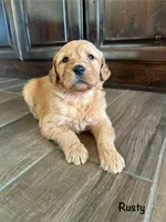 processed/2849b235-77a0-4fe8-bed4-c39960fa00d8/listing/0a437765-3b04-488b-a3aa-71904bc0b1cc/7c9c18f8-5da5-4740-9beb-9f8f7d5bc780