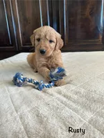 processed/2849b235-77a0-4fe8-bed4-c39960fa00d8/listing/0a437765-3b04-488b-a3aa-71904bc0b1cc/9a9c1da0-daa0-4401-b25a-0553583a0795