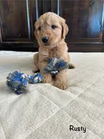 processed/2849b235-77a0-4fe8-bed4-c39960fa00d8/listing/0a437765-3b04-488b-a3aa-71904bc0b1cc/ac756e39-4815-4457-8380-47f68e484a1d