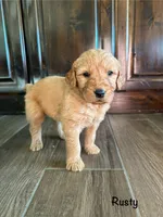 processed/2849b235-77a0-4fe8-bed4-c39960fa00d8/listing/0a437765-3b04-488b-a3aa-71904bc0b1cc/e0fe4f0e-3dbc-4bc3-acf2-769f212cd00b