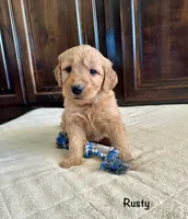 processed/2849b235-77a0-4fe8-bed4-c39960fa00d8/listing/0a437765-3b04-488b-a3aa-71904bc0b1cc/f1310f97-4331-45f0-9f41-449219181aab